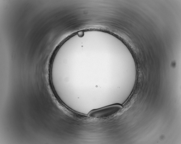 X0000103261038200809191714