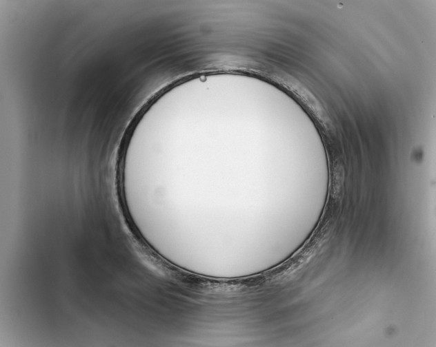 X0000103261039200809191714