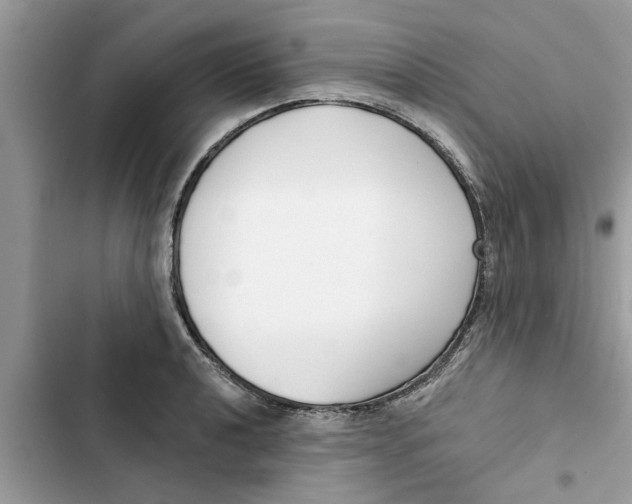 X0000103261040200809191714