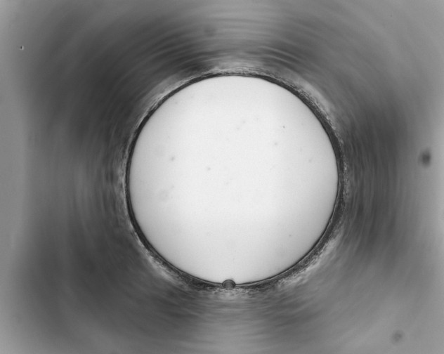 X0000103261041200809191714