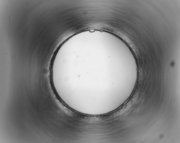 X0000103261042200809191714