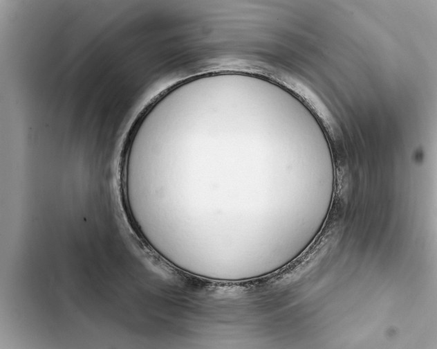 X0000103261043200809191714