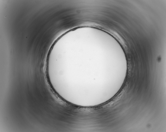 X0000103261044200809191714