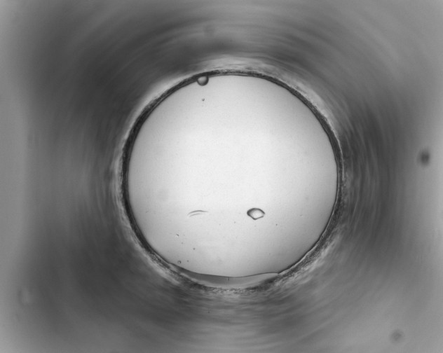 X0000103261045200809191714