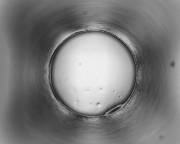 X0000103261047200809191714