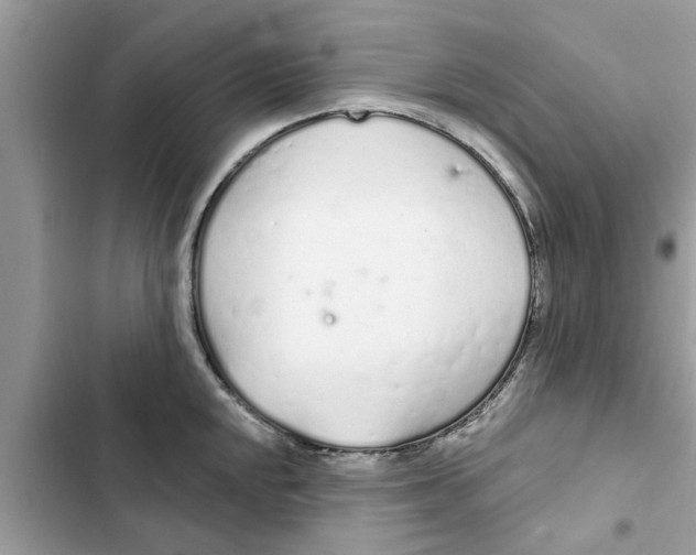 X0000103261048200809191714