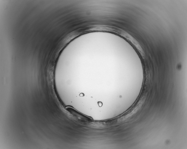 X0000103261049200809191714