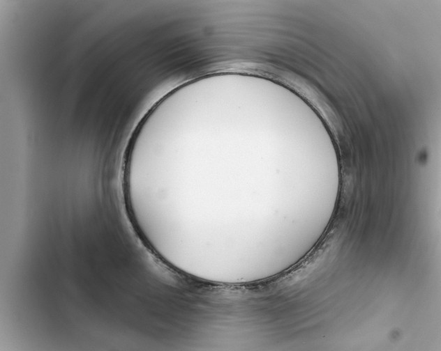 X0000103261050200809191714