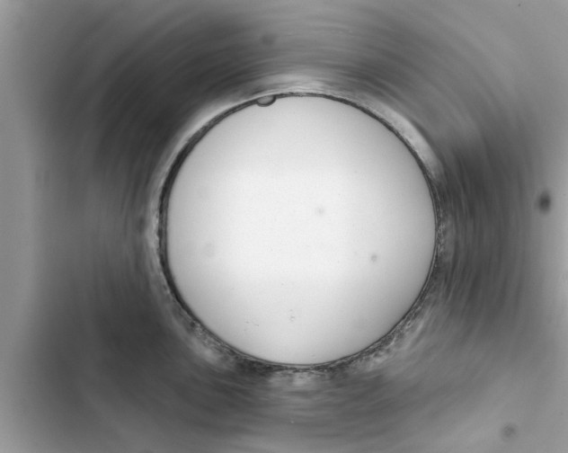 X0000103261051200809191714