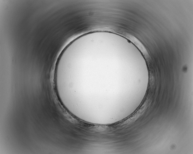 X0000103261052200809191714