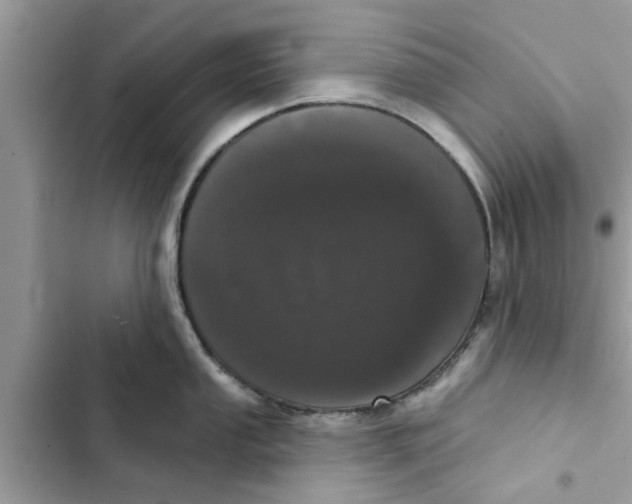 X0000103261053200809191714