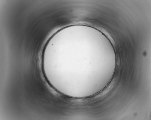 X0000103261054200809191714