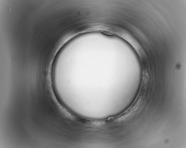 X0000103261055200809191714