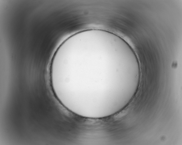 X0000103261056200809191714