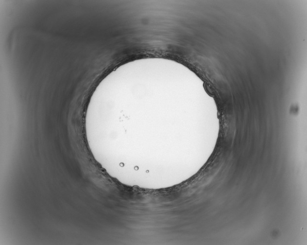 X0000103261057200809191713