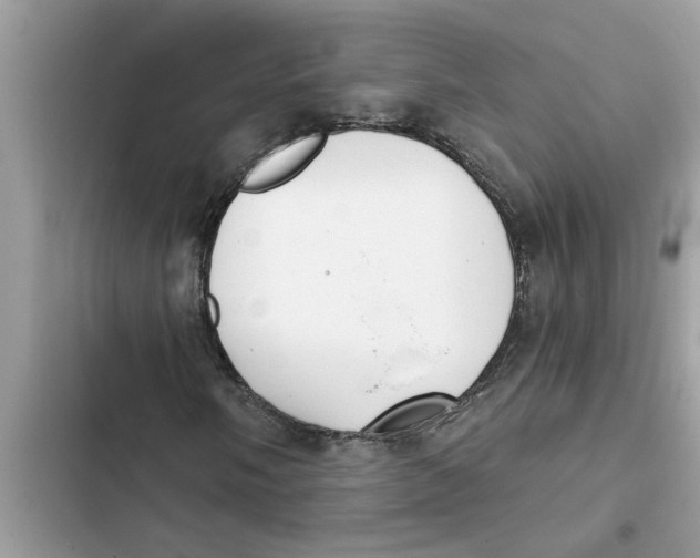 X0000103261058200809191713