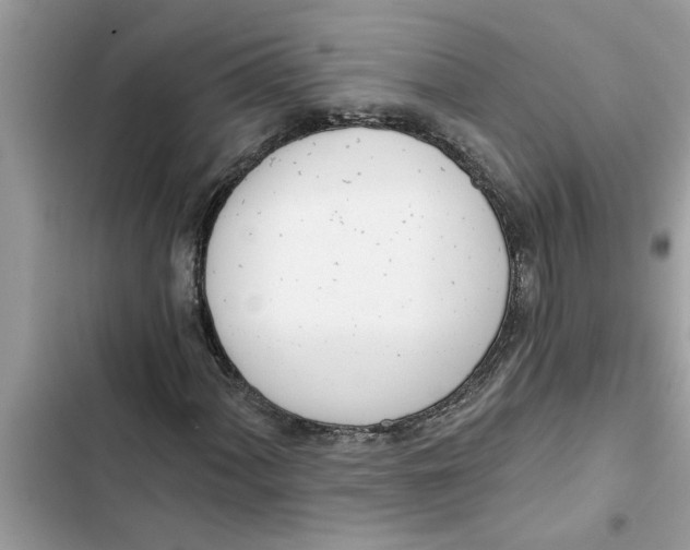 X0000103261060200809191713