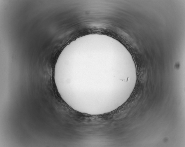 X0000103261061200809191713