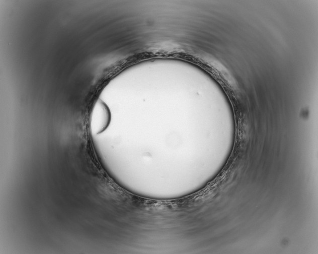 X0000103261063200809191713