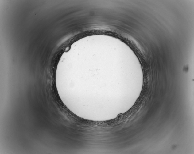 X0000103261064200809191713