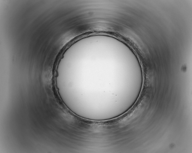 X0000103261065200809191713