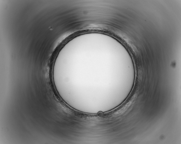 X0000103261066200809191713