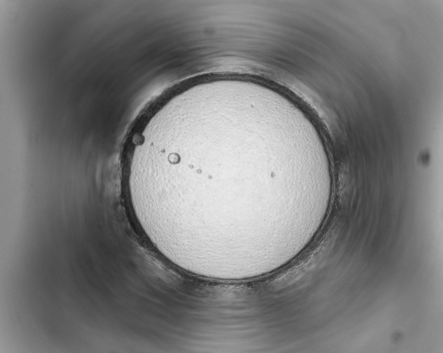 X0000103261067200809191713