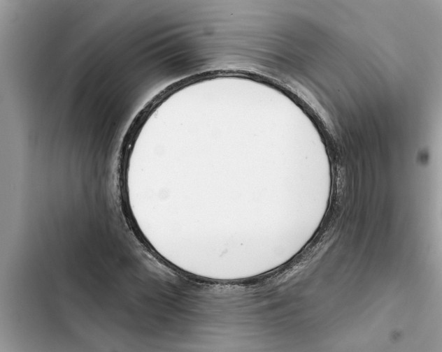 X0000103261068200809191713