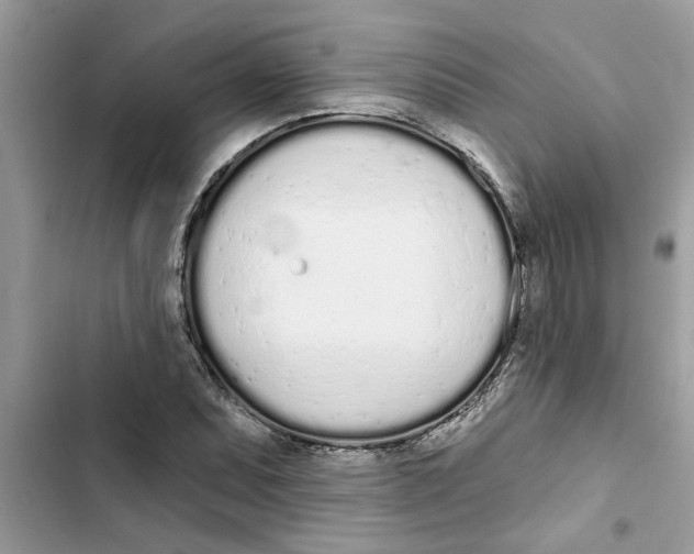 X0000103261071200809191713