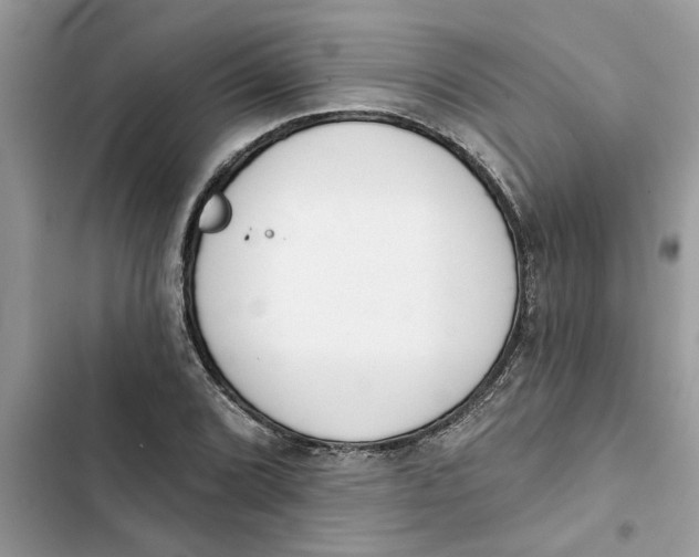 X0000103261072200809191713