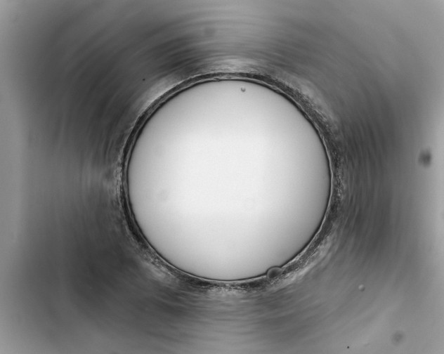 X0000103261073200809191713