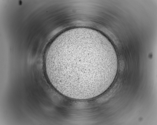 X0000103261074200809191713