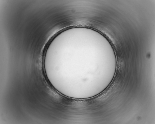 X0000103261075200809191713