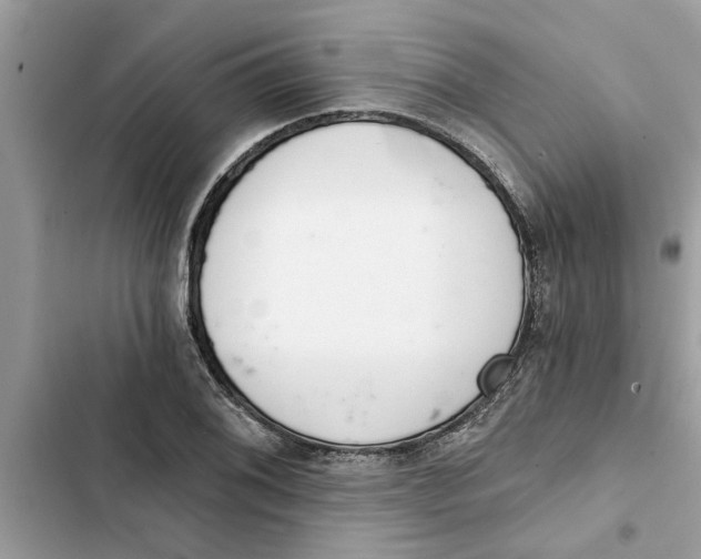 X0000103261076200809191713