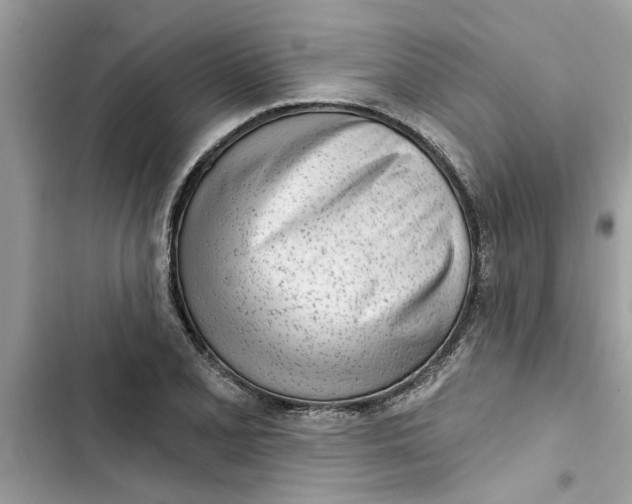 X0000103261077200809191713