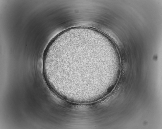 X0000103261079200809191713