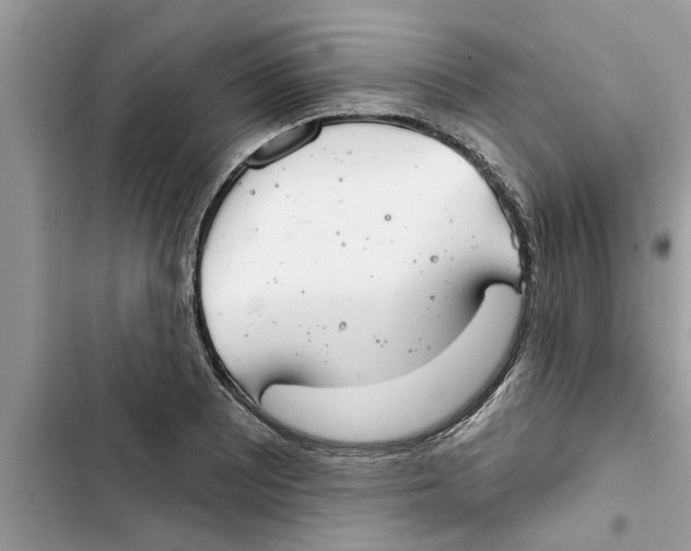 X0000103261081200809191713