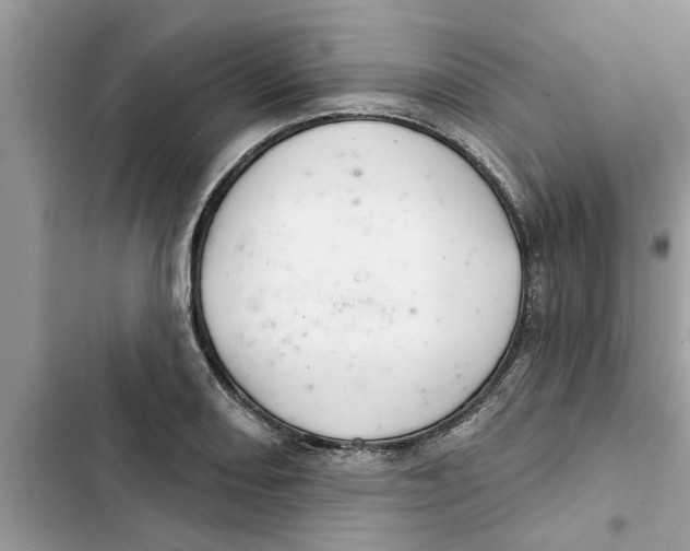 X0000103261082200809191713