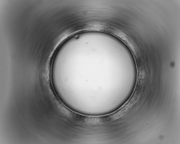 X0000103261083200809191713