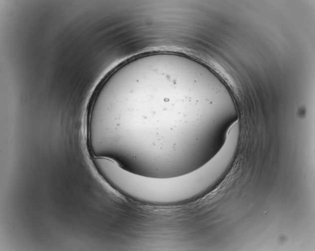 X0000103261084200809191713