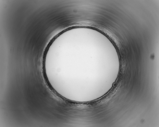 X0000103261085200809191713