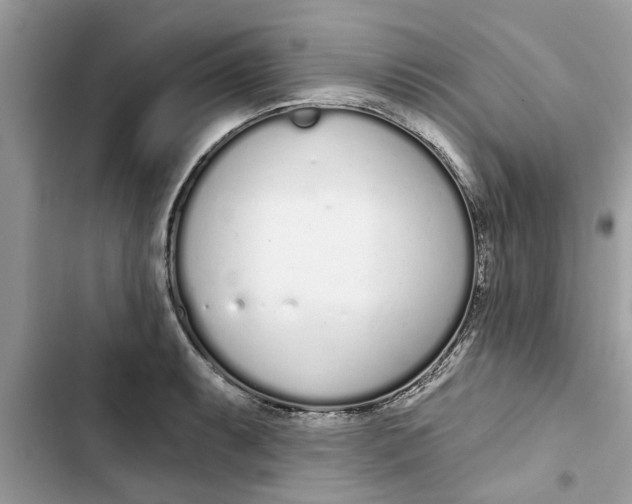 X0000103261087200809191713