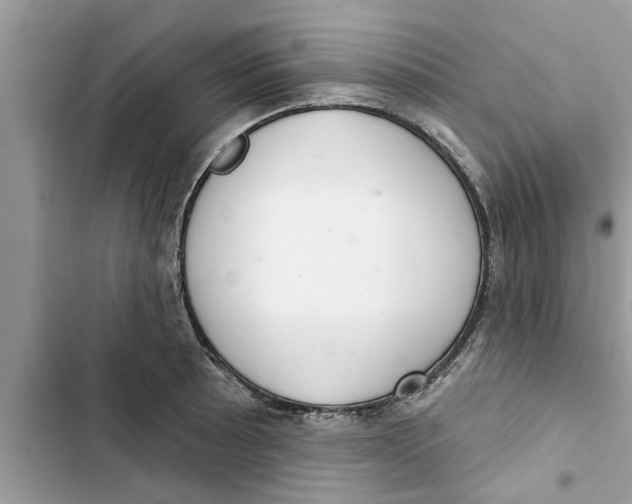 X0000103261089200809191713