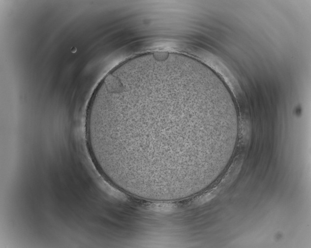 X0000103261090200809191713