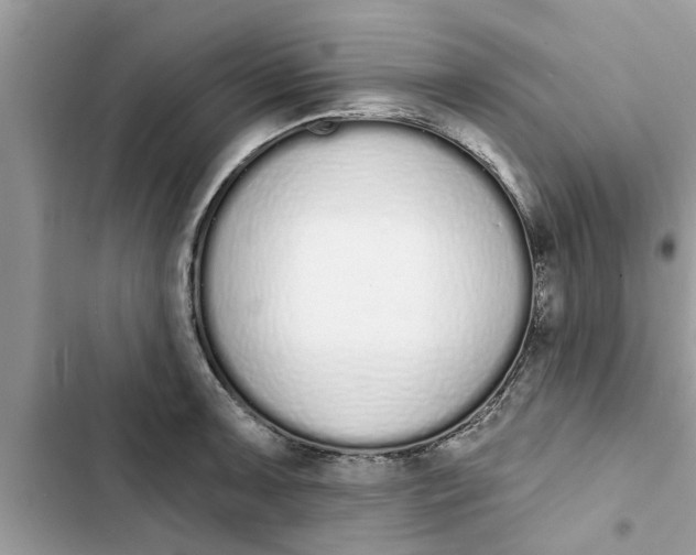 X0000103261091200809191713