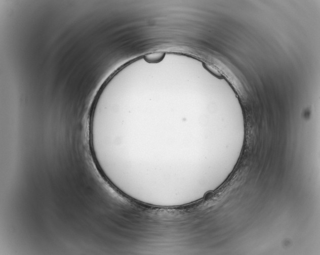 X0000103261092200809191713