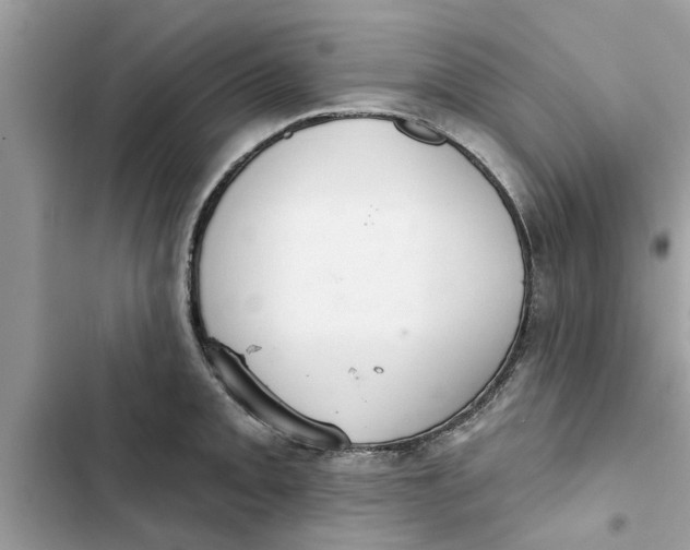 X0000103261093200809191713