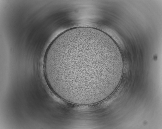 X0000103261094200809191713