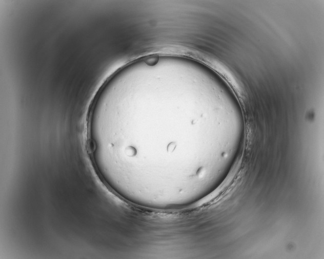 X0000103261095200809191713