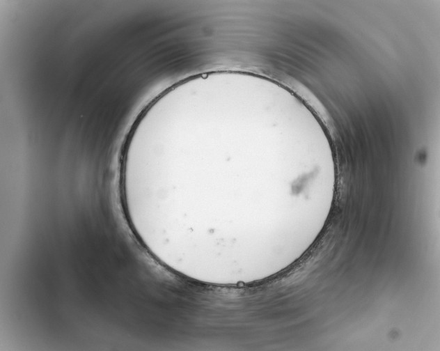 X0000103261096200809191713